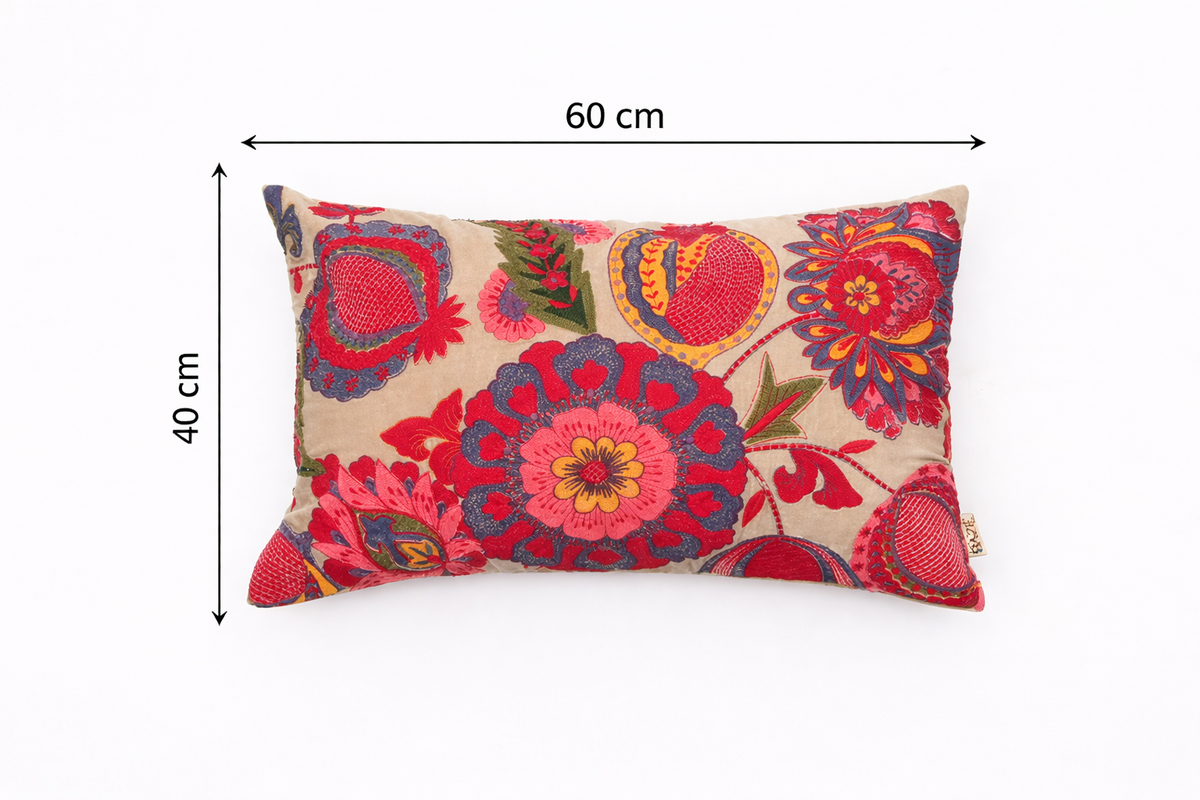 Boho geborduurd katoen - Fluwelen lendenkussen - 40 x 60 cm
