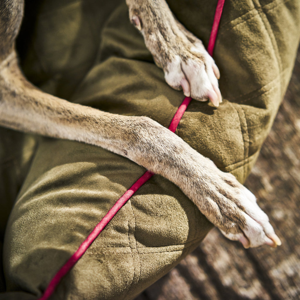 Oxford I Klassieke Hundebett