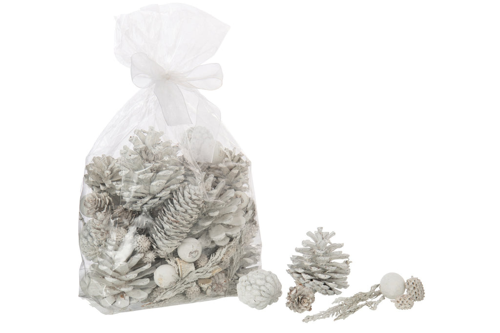 J-Line droogbloemen Mix - riet - wit