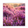 Wenskaart - "Bloeiende heide" - 8 Stuks