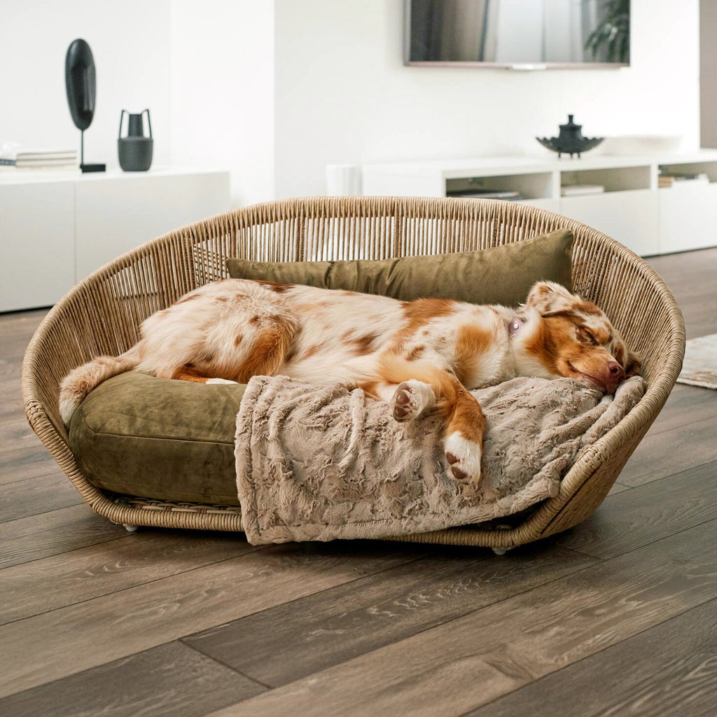 Cosy knuffeldeken voor honden