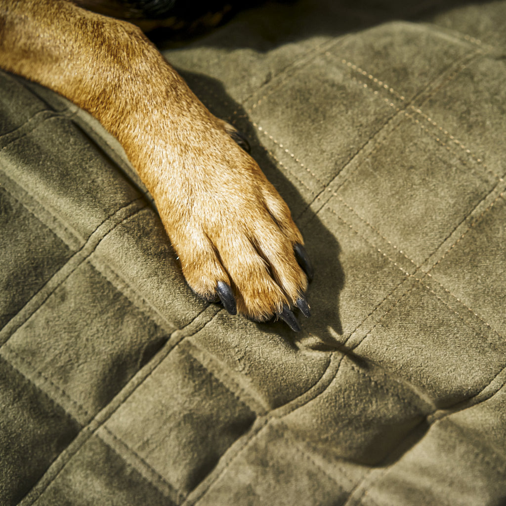 Oxford fluwelen deken voor honden