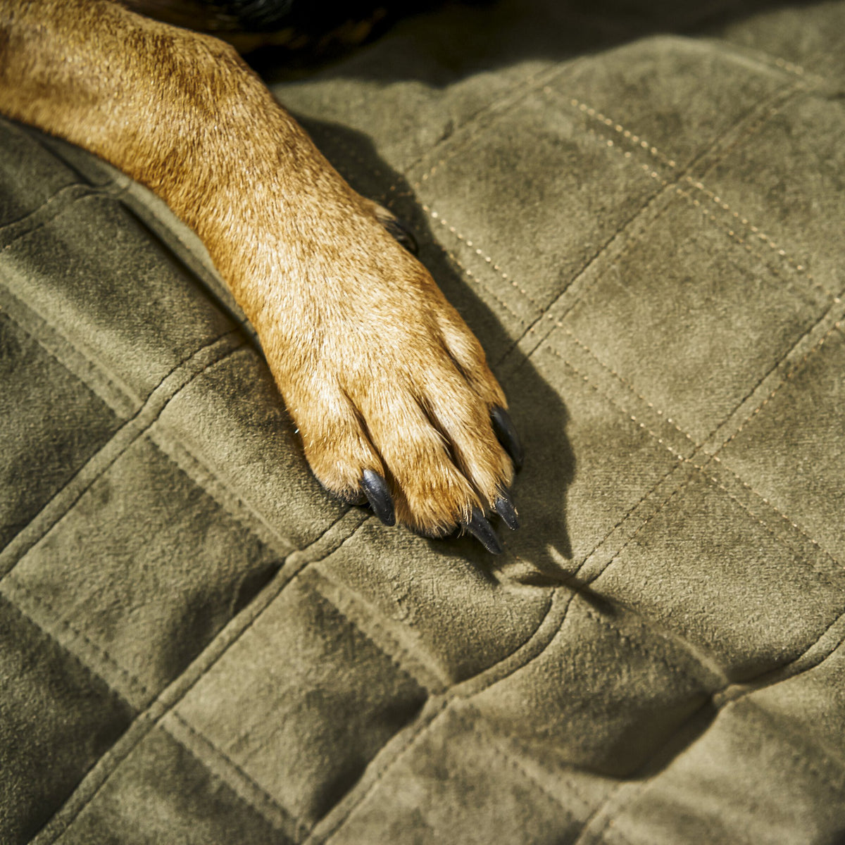 Oxford fluwelen deken voor honden
