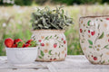 Bloempot Ø 18x18 cm Beige Rood Keramiek Aardbeien Bloempot Binnen