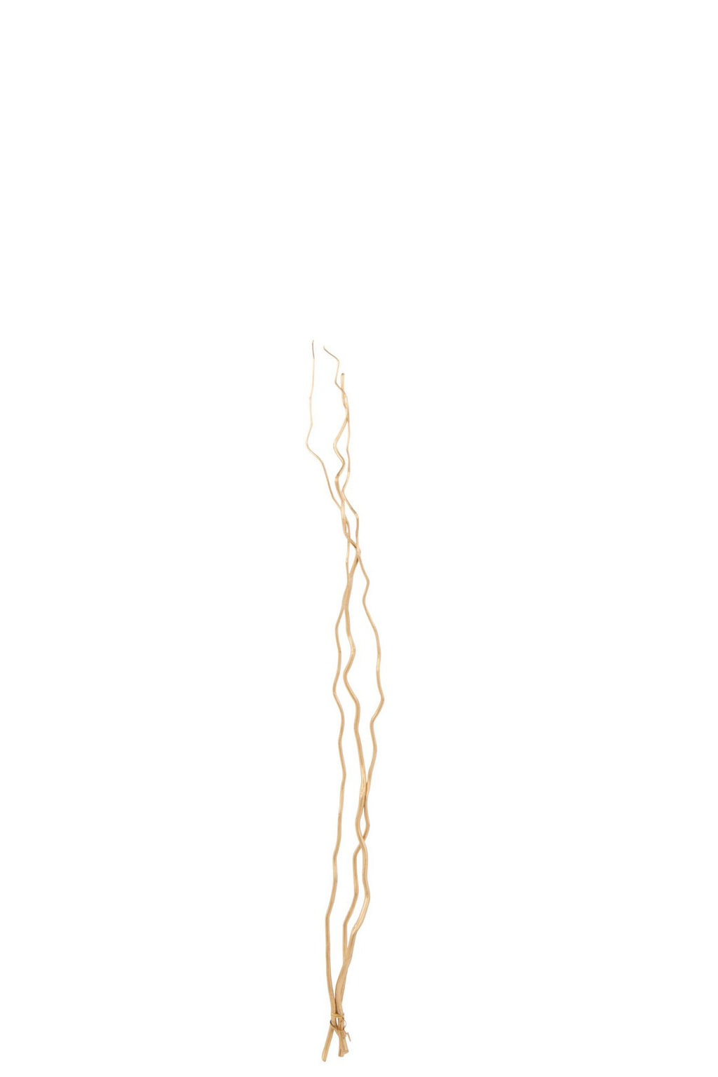 J-Line Set Van 3 Takjes Droogbloemen Goud Medium