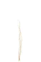 J-Line Set Van 3 Takjes Droogbloemen Goud Medium