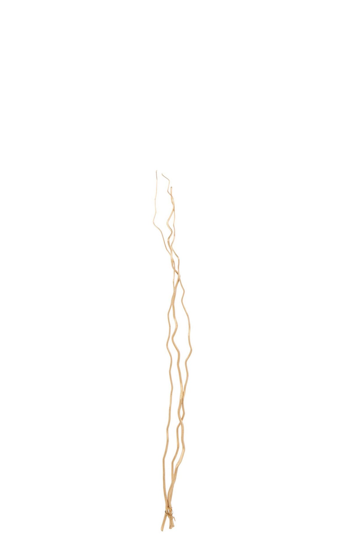 J-Line Set Van 3 Takjes Droogbloemen Goud Medium