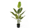 Kunstplant Calathea Groot