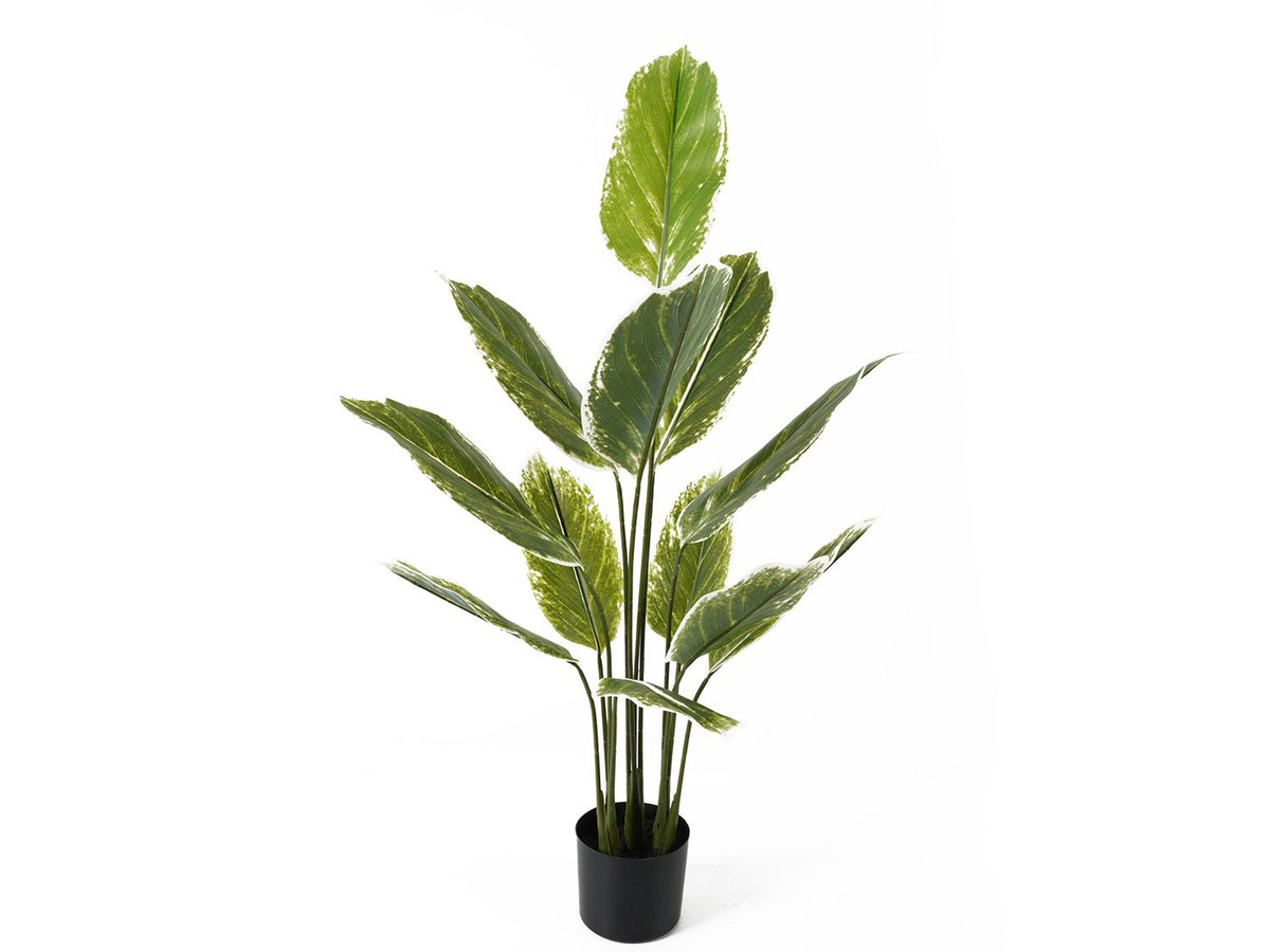 Kunstplant Calathea Groot