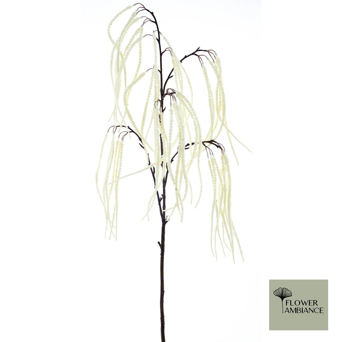 Vossenstaartgras crème 136cm