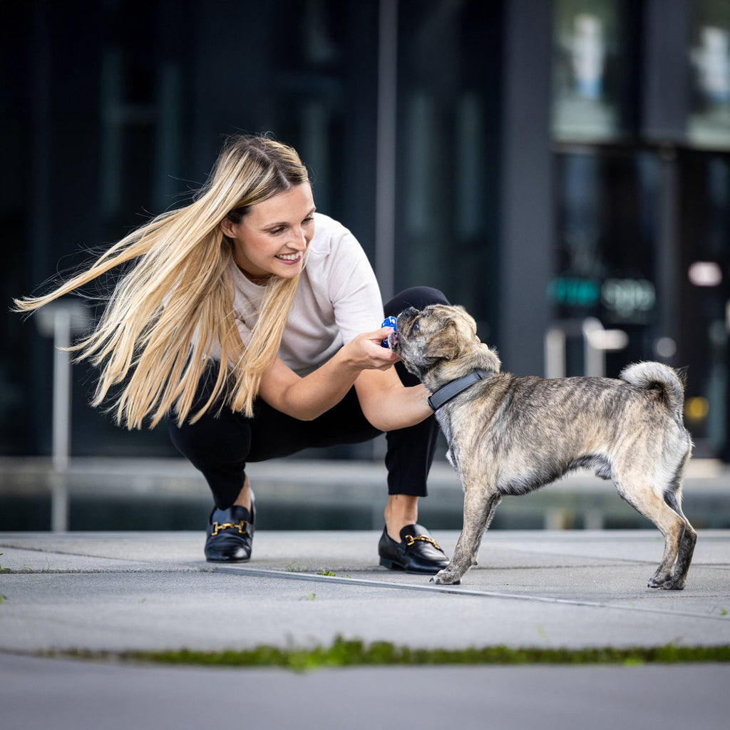 Bonnie Bone - cultspeelgoed voor honden