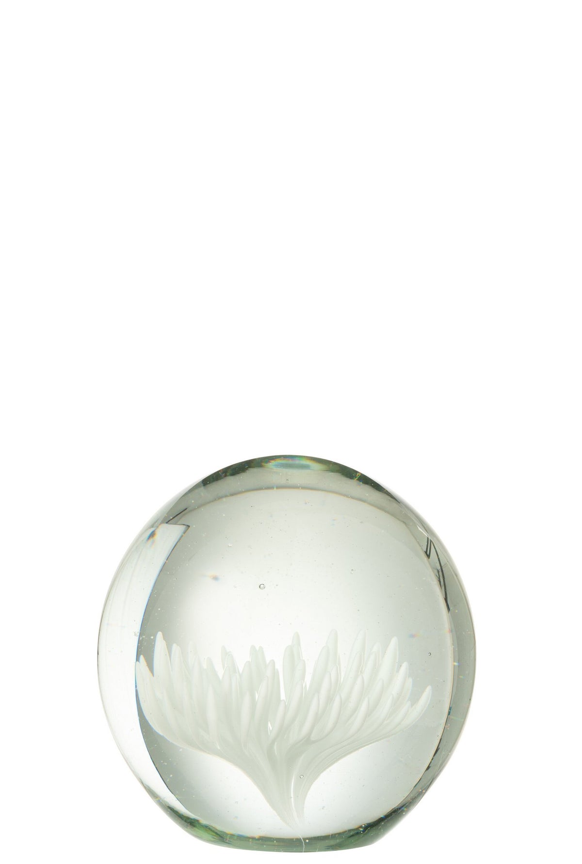 J-Line presse-papier Aster Rond - glas - transparant/wit