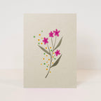 Postcard 'congrats'