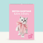 Studio Pets Verjaardagskalender Brits Korthaar kitten