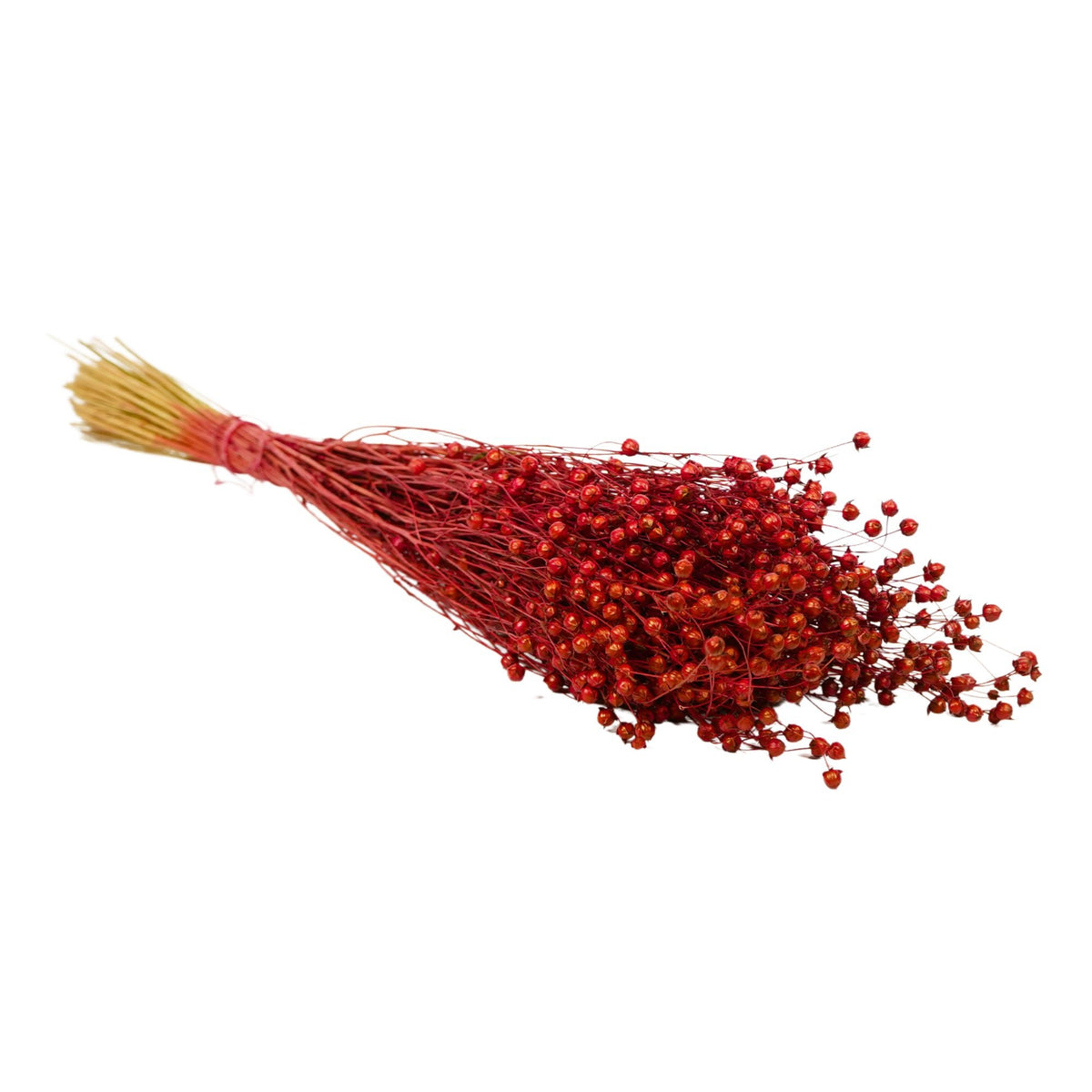 Gedroogde bloemen - Liniumrood