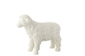J-Line Schaap Buiten Mgo Beige Small