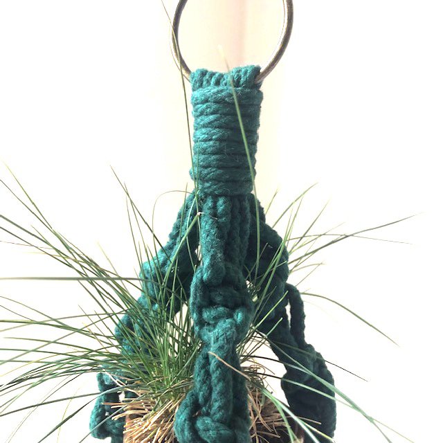 Luna-Leena plantenhanger mini - groen - set van 3 stuks - katoen macramé - L38cm - handgemaakt in Nepal