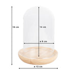 Stolp Ø 13x16 cm Bruin Hout Glazen Stolp