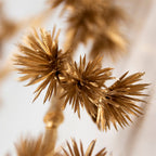 Siertak pinus goud champagne 98cm*