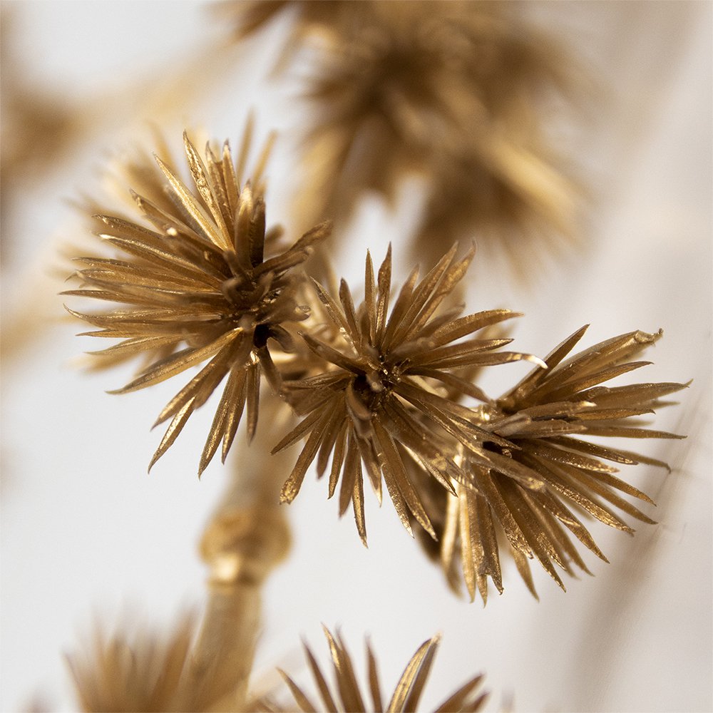 Siertak pinus goud champagne 98cm*
