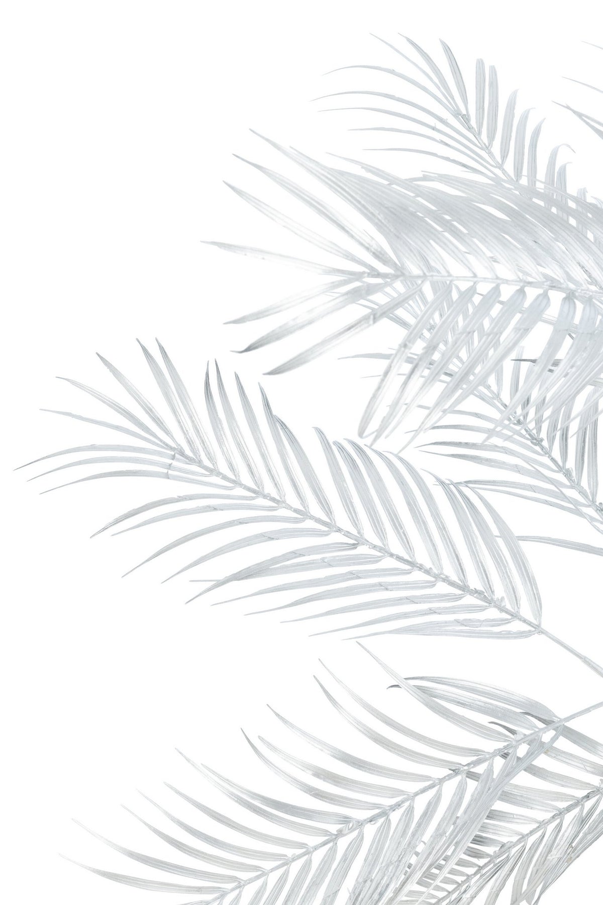 J-Line Boom Palm - metaal - zilver - small