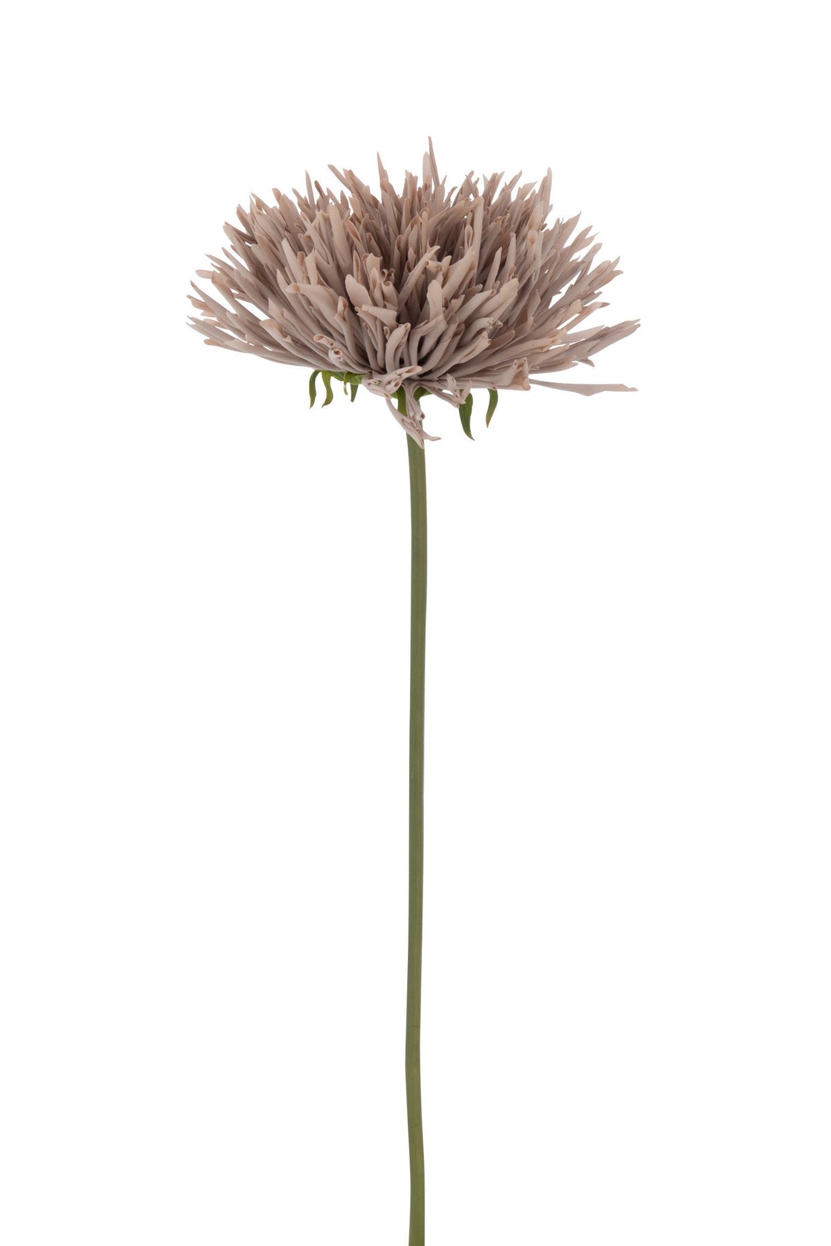 J-Line kunststof Chrysant - kunststof - grijs/roze
