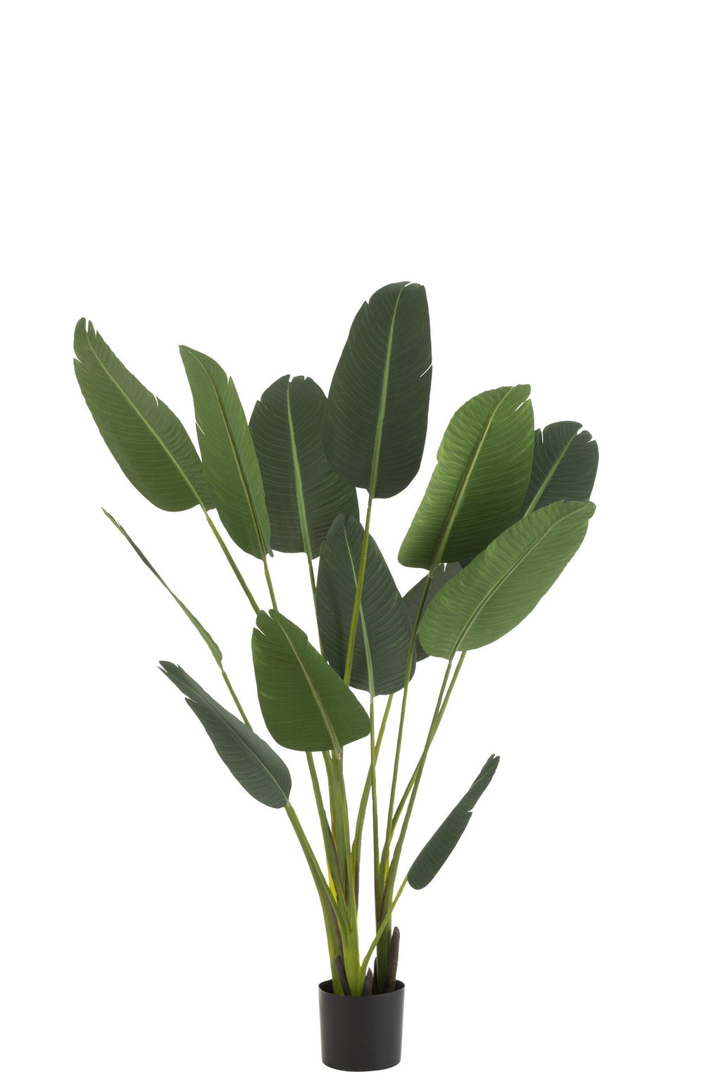 J-Line Strelitzia Plastiek Groen Medium