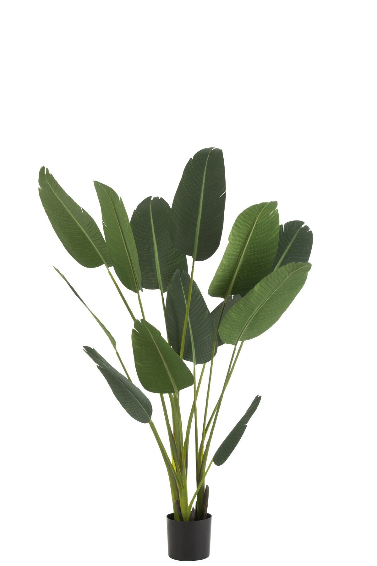 J-Line Strelitzia Plastiek Groen Medium
