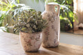 Decoratie Kan Ø 13x25 cm Beige Roze Keramiek Bloemen Schenkkan