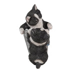 Decoratie katten 23x13x18 cm