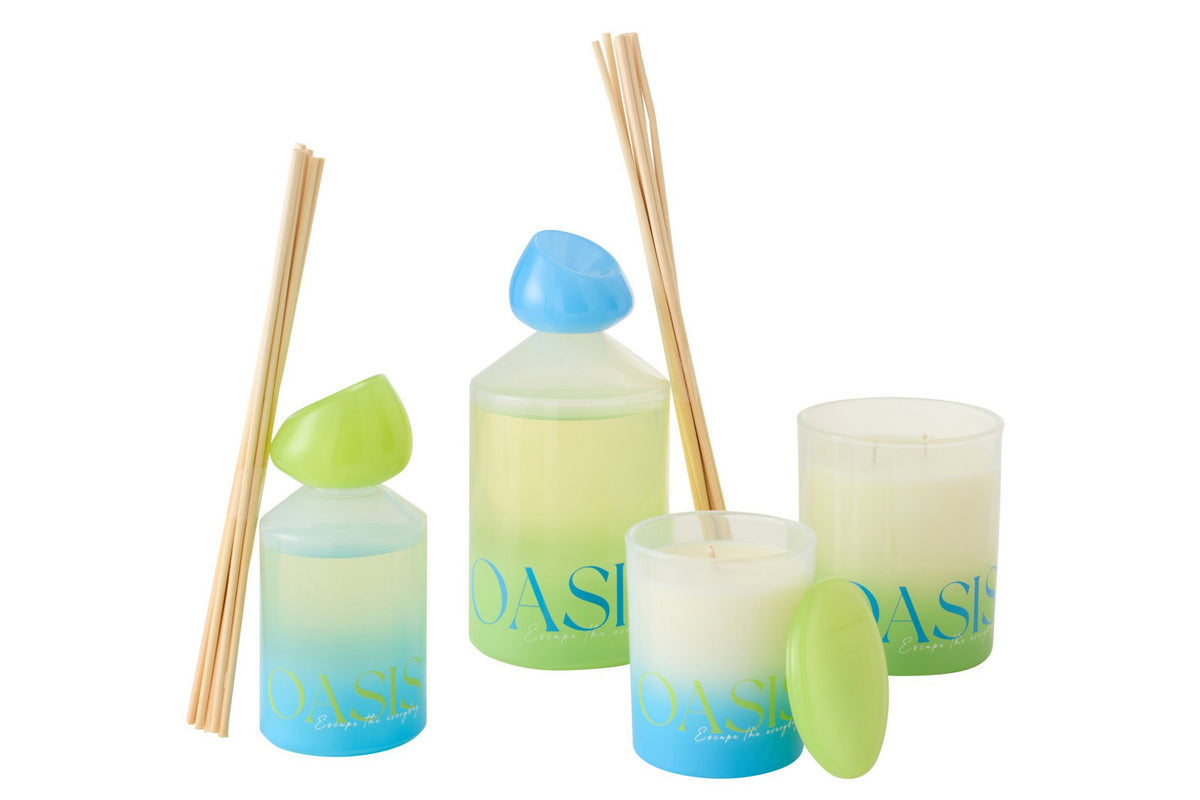 J-Line geurstokjes Oasis - Spring Ivy & Nerolia - glas - blauw - L