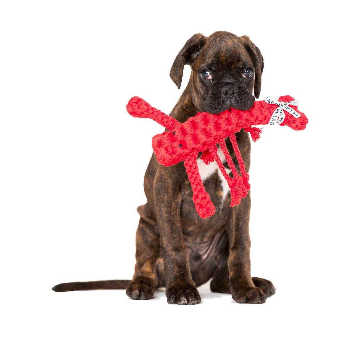 Hugo Hummer - cultspeelgoed voor honden