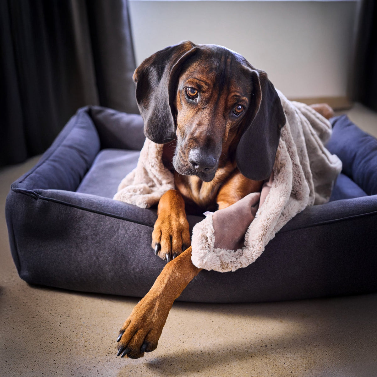 Cosy knuffeldeken voor honden