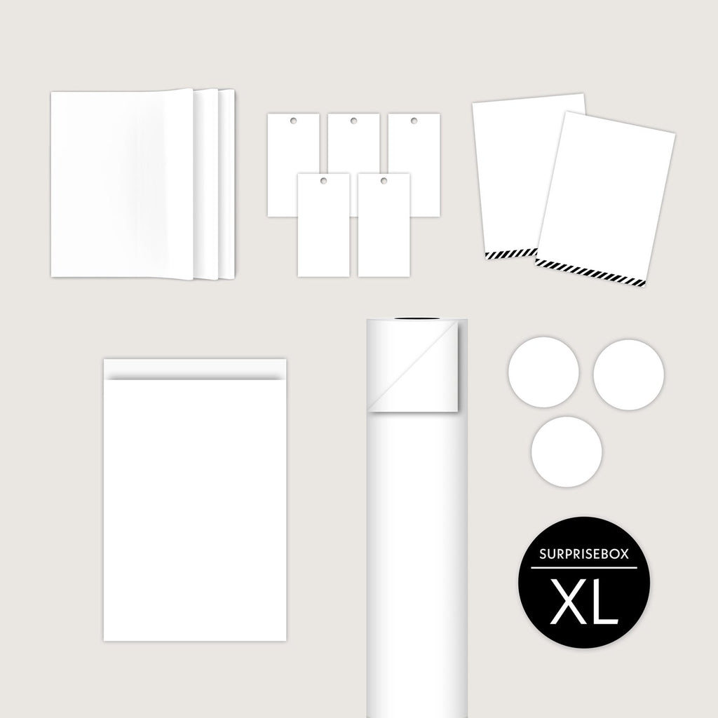 Cadeauverpakkingen Surprise Box XL