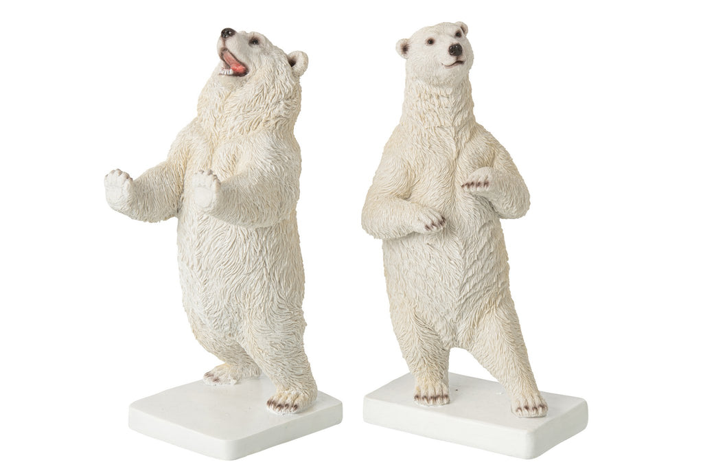 J-Line Boekensteunen beer - polyresin - wit - set van 2