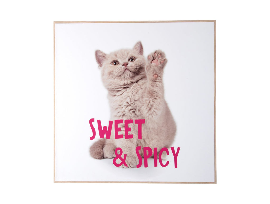 Wanddecoratie Kitten Zoet & Pittig