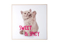 Wanddecoratie Kitten Zoet & Pittig