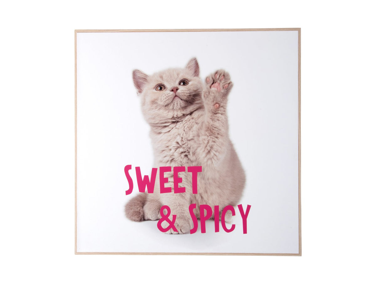 Wanddecoratie Kitten Zoet & Pittig
