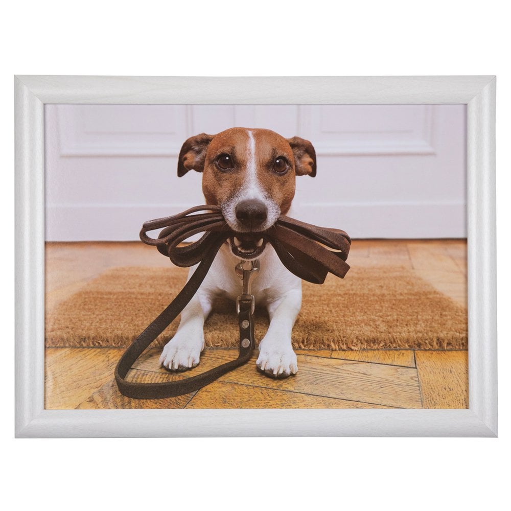 Schootkussen humor jack russell 43cm