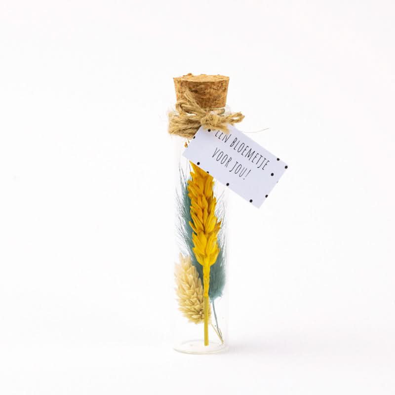 Droogbloem boeket multi colour 11cm