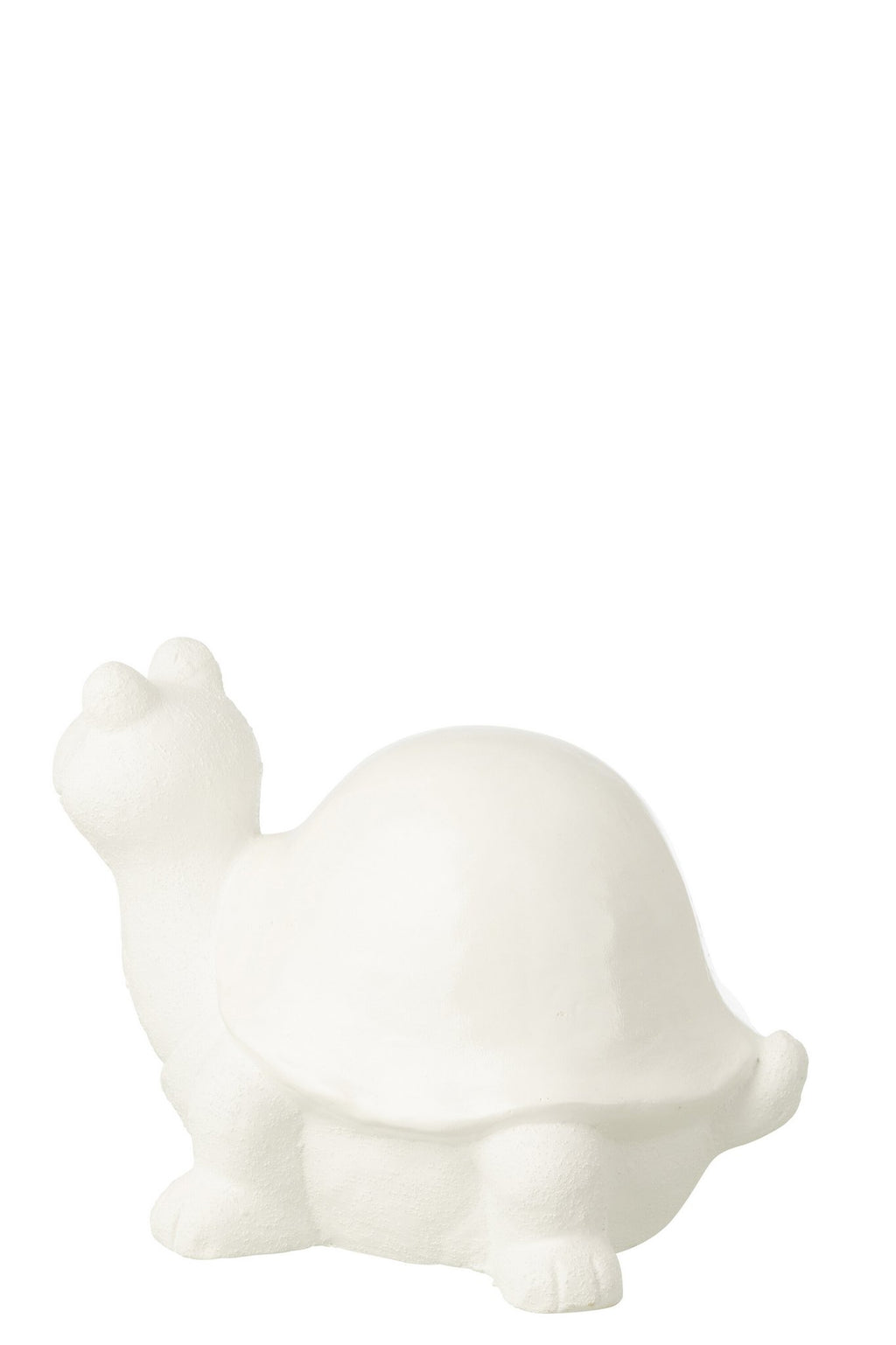 J-Line decoratie Schildpad - polyresin - wit