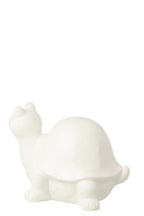 J-Line decoratie Schildpad - polyresin - wit