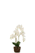 J-Line plant Orchidee In Aarde - kunststof - wit/groen - large