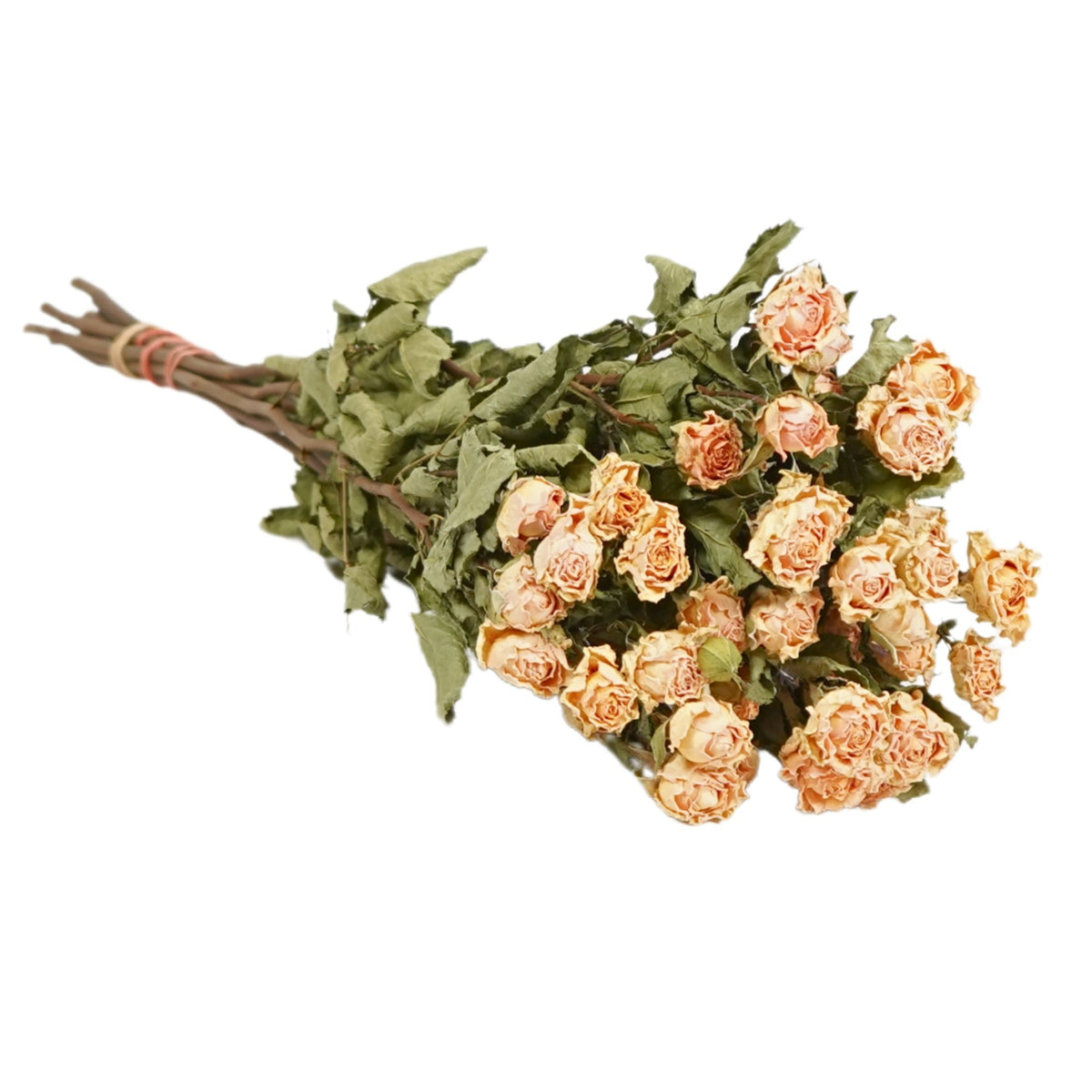 Gedroogde bloemen - Trosrozen Natuurlijke zachte perzik