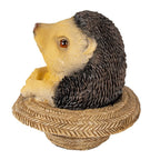 Beeld Egel 8x8x9 cm Bruin Kunststof Egel