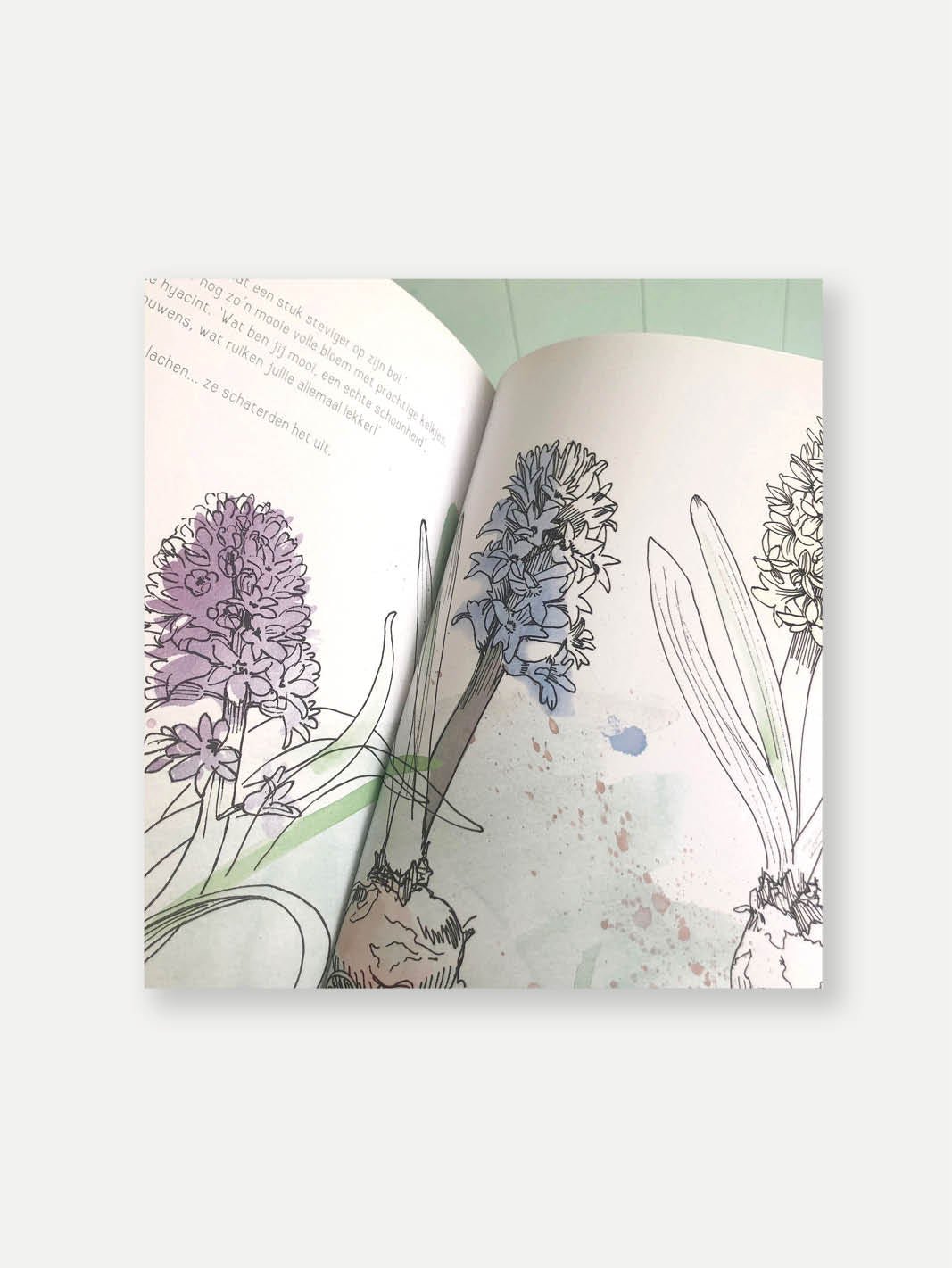 Prentenboek 'In de achtertuin van Plokje'