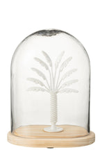 J-Line decoratie Stolp Palmboom - glas/metaal - wit/naturel - large