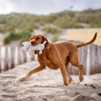 Richie Retriever - cultspeelgoed voor honden