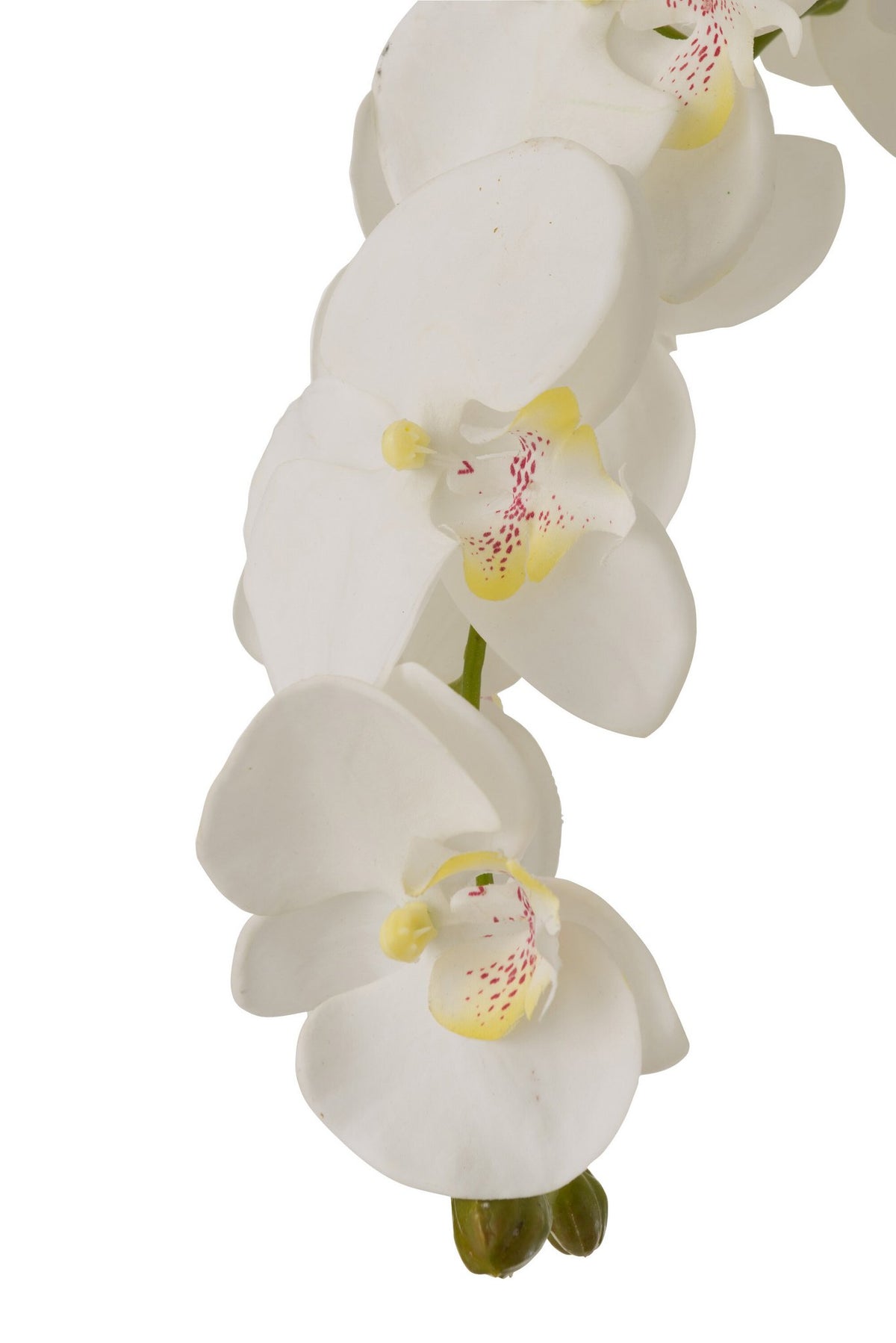 J-Line plant Orchidee In Aarde - kunststof - wit/groen - extra large