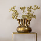 Siertak berenklauw goud champagne 85cm*